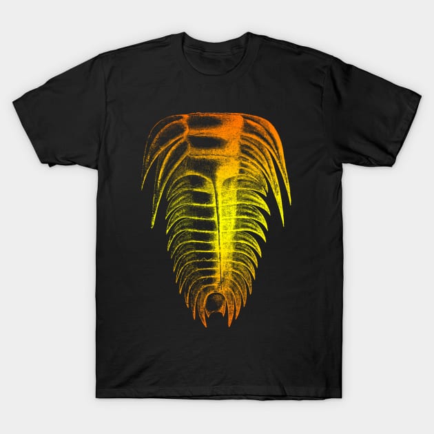 Trilobite Orange Yellow Color Splash Design T-Shirt by Terra Fossil Merch